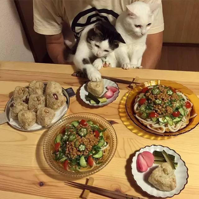 小男孩一筷子下去吃长寿面，人都懵圈了！