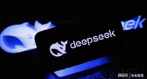 DeepSeek对Manus的评价，深入探究其独特魅力