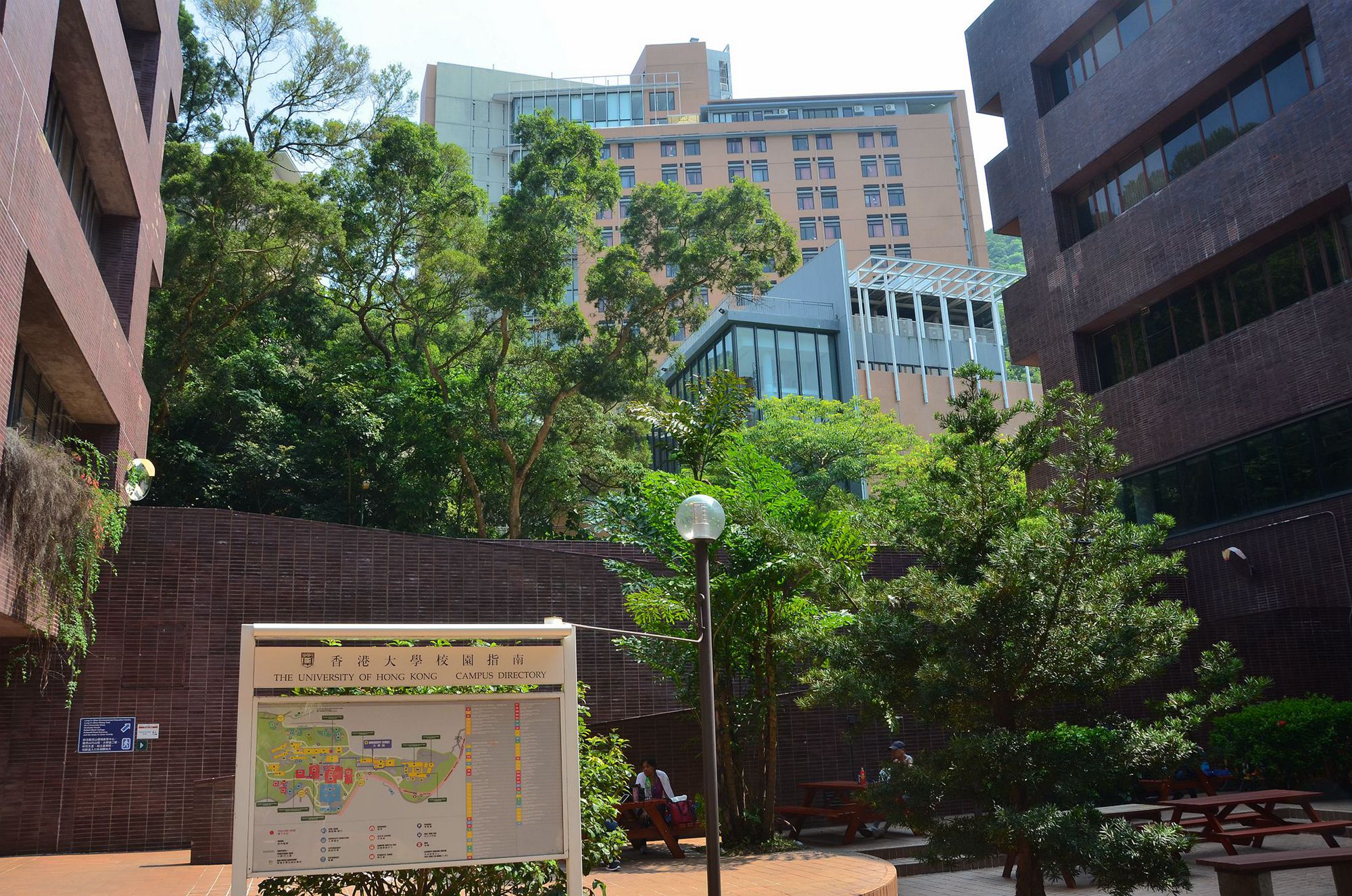 伪造学历读港大获刑，警示与反思