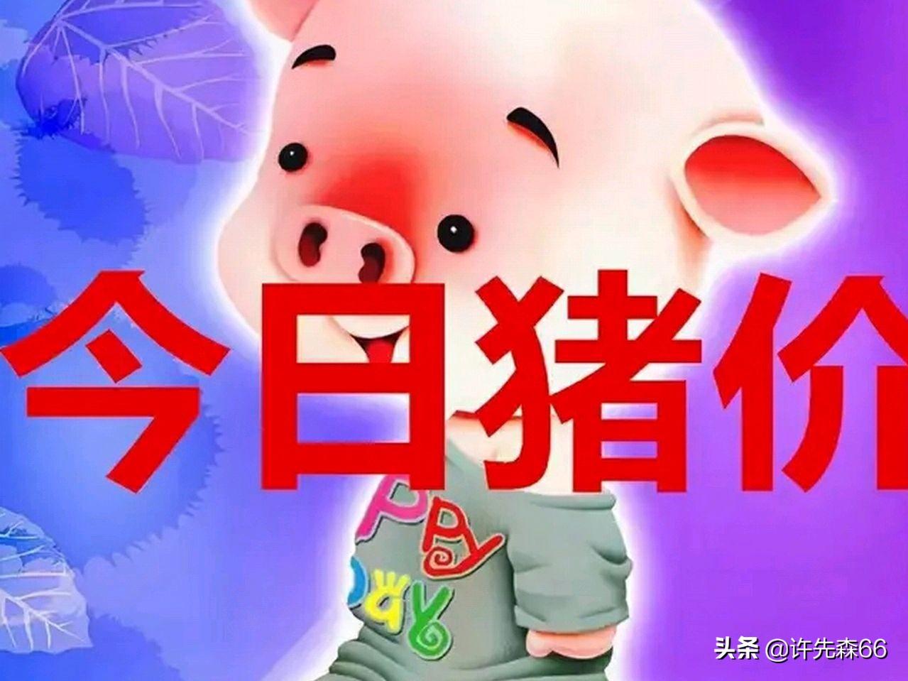 娱乐生活 第129页