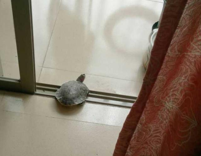 第770页