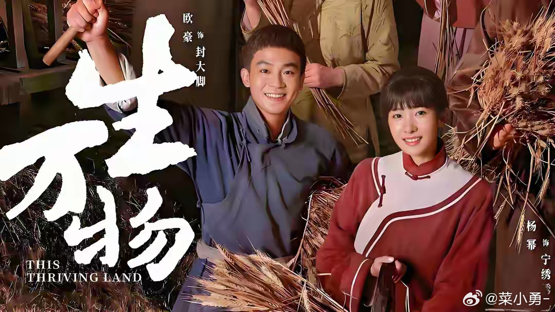 地方新闻 第33页