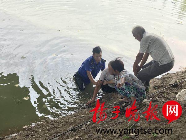游戏专题 第8页