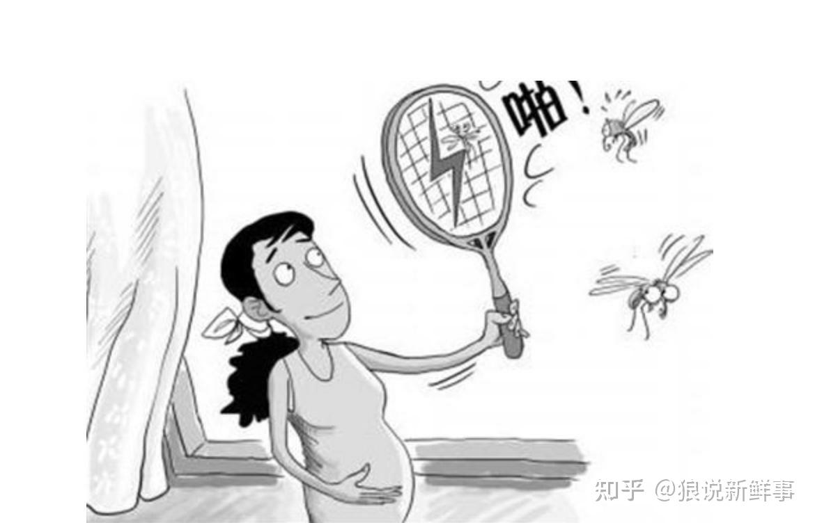 灭蚊神器真的有用吗？揭秘那些所谓的灭蚊黑科技