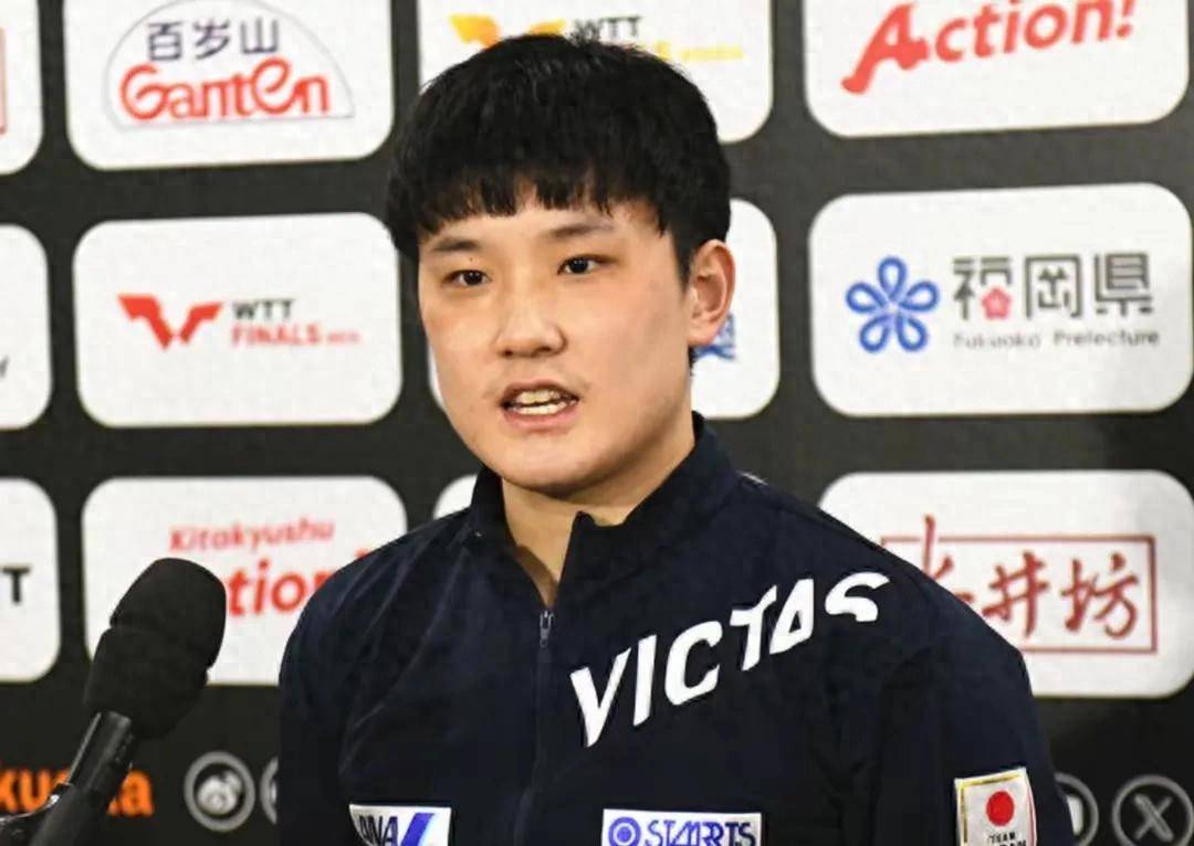 日本张本智和情况深度解析