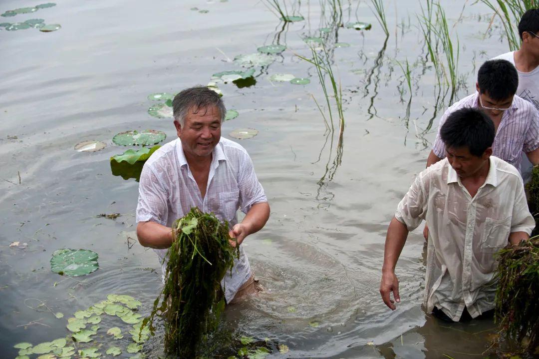 破茧成蝶，29岁小伙惊艳武大，成为最年轻正教授之路