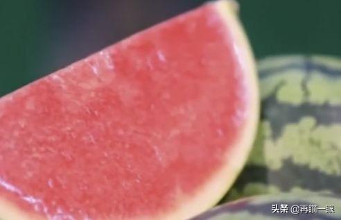 草莓不能吃了吗现在？探究草莓的食用现状与健康价值