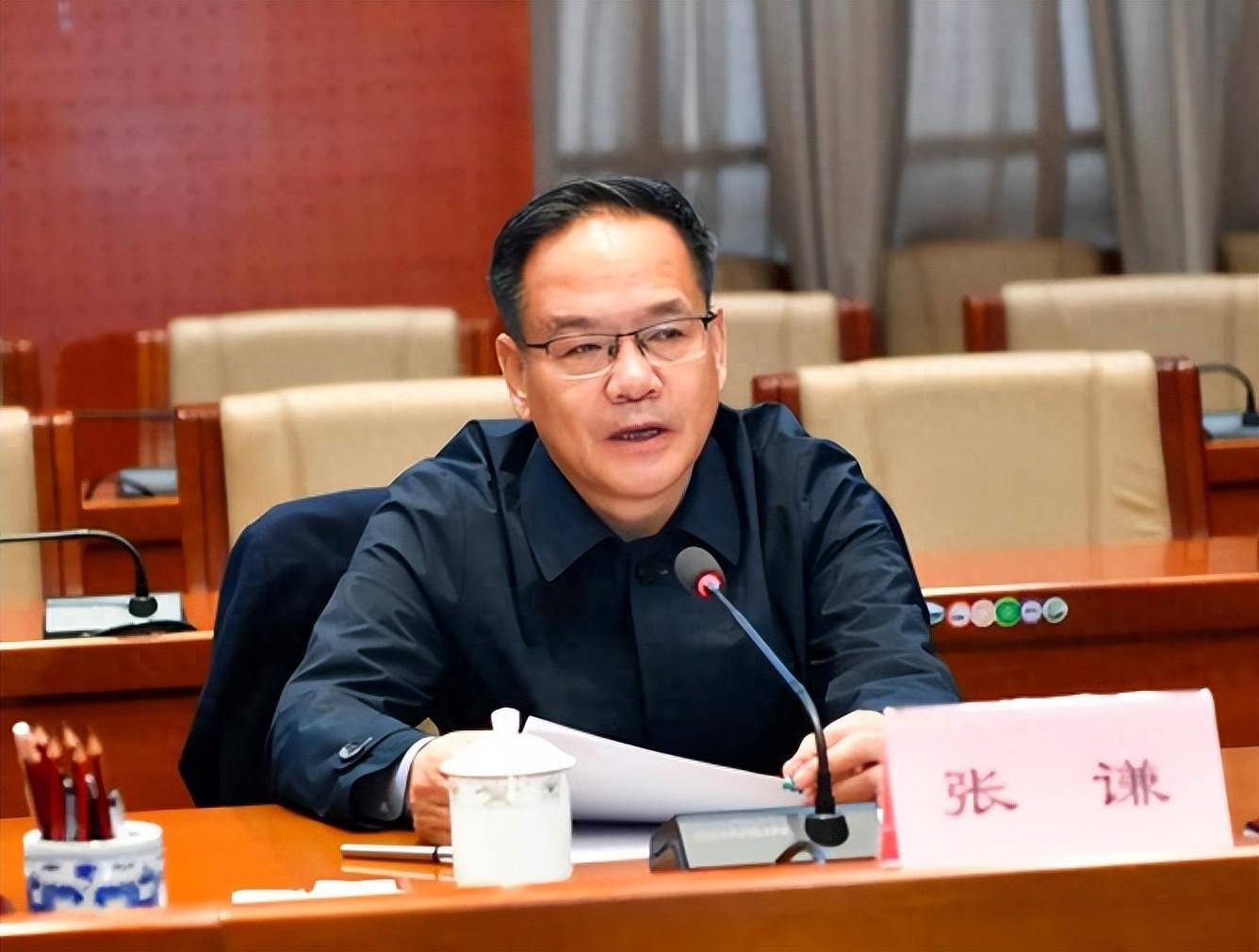 张谦被开除党籍事件深度解析