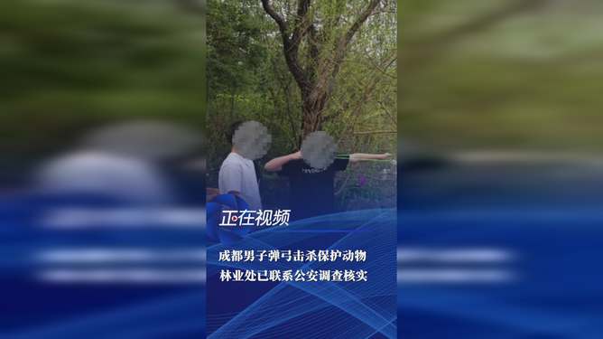 弹弓下的悲剧，保护动物的生死劫