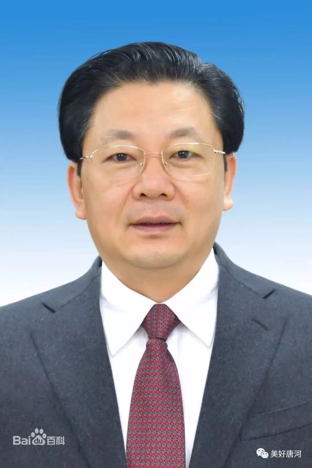 河南财政局局长，揭秘背后的故事与影响力