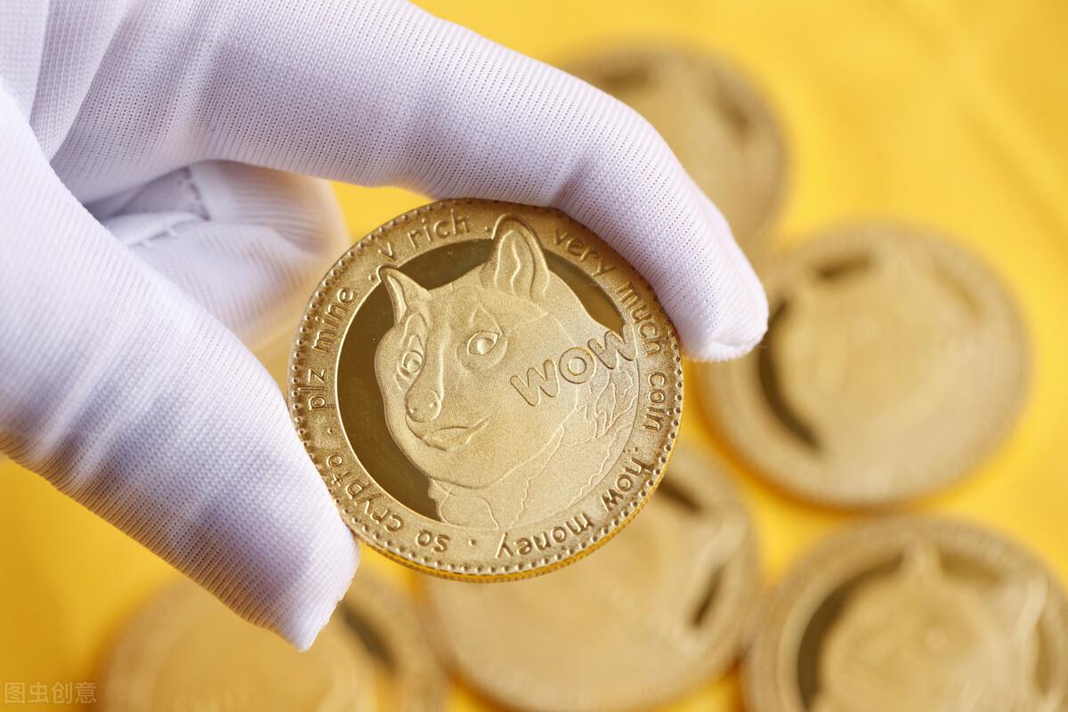 doge与马斯克，一场跨越时空的星际对话