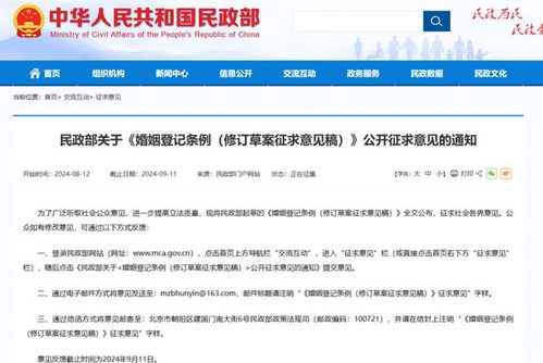 媒体谈婚姻登记条例修订草案