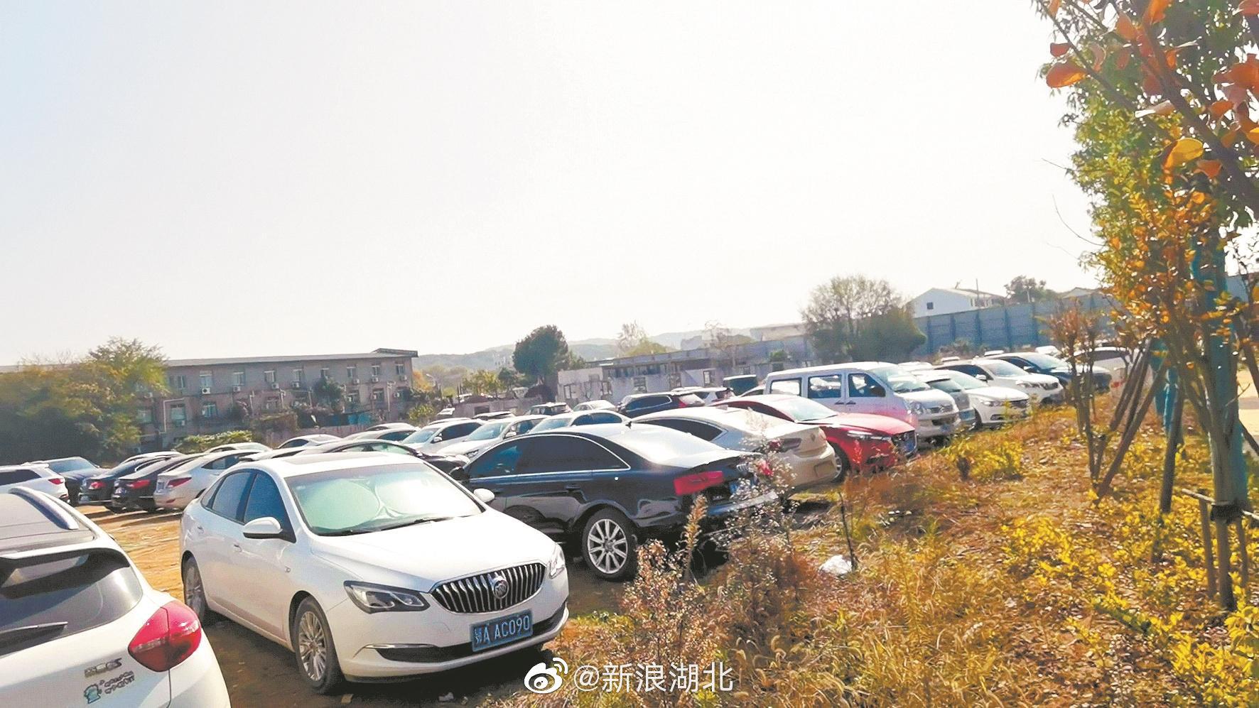 村民向游客收取停车费现象分析