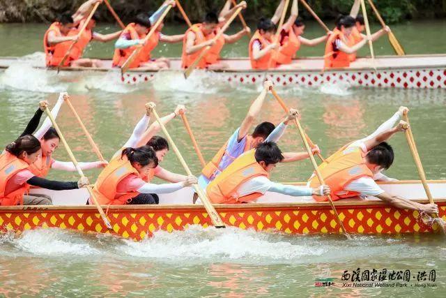 复旦大学的小哥哥，青春风采与才华横溢