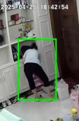 拆快递拆出活老鼠，该如何处理？