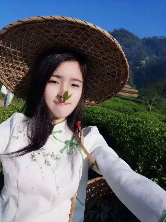 千万粉丝网红带货茶叶翻车事件深度解析