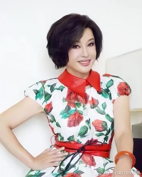 刘晓庆退出涉偷税公司股东行列，深度解读事件背后