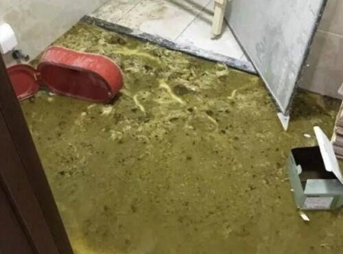新房遭遇粪水泡，遭遇困境如何科学应对？