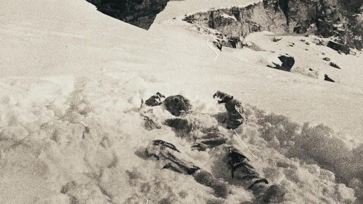 草原悲歌，多匹马失温冻死事件启示录