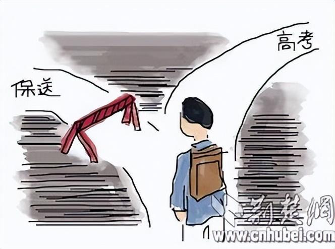 小升初保送生的标准解读