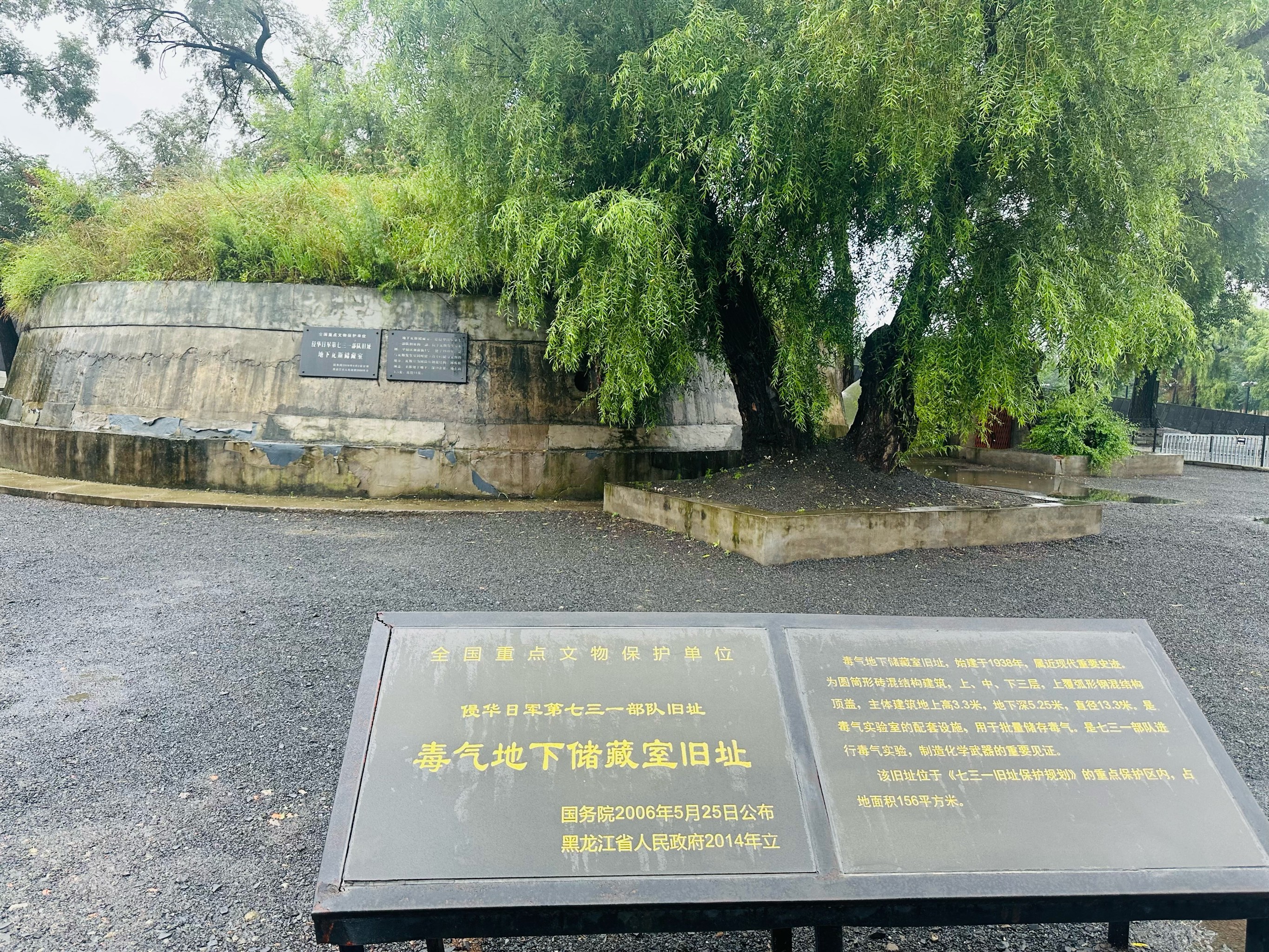 揭秘731部队罪证遗址博物馆，历史警示与反思