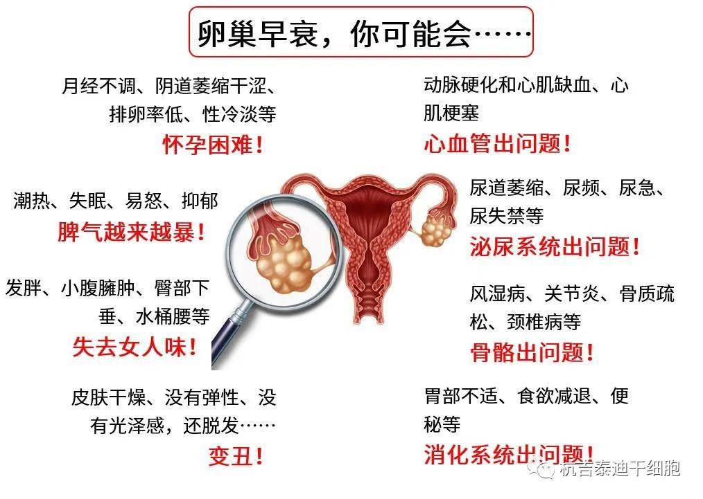 未孕卵巢早衰，探寻真相与应对之道