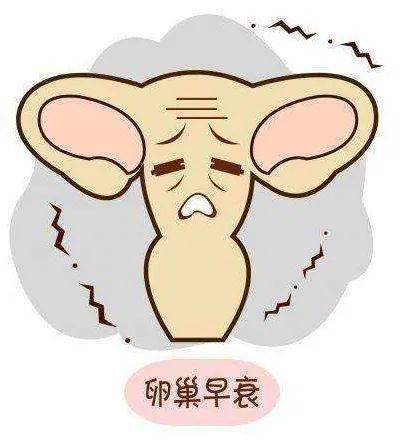 未孕卵巢早衰，探寻真相与应对之道