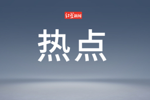 官方通报幼童掉入高铁站台股道事件分析