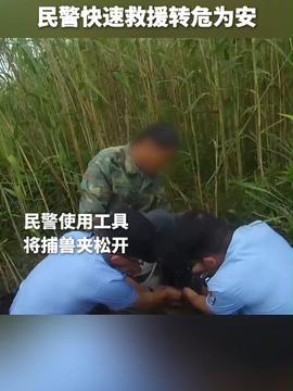 三亚毒蛇咬人事件，警示与反思