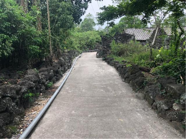 海口单颗荔枝拍出248万，天价背后的故事与启示