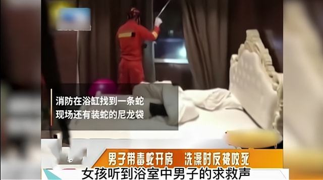 被蛇咬后二十年会复发不，深度解析与科学解读