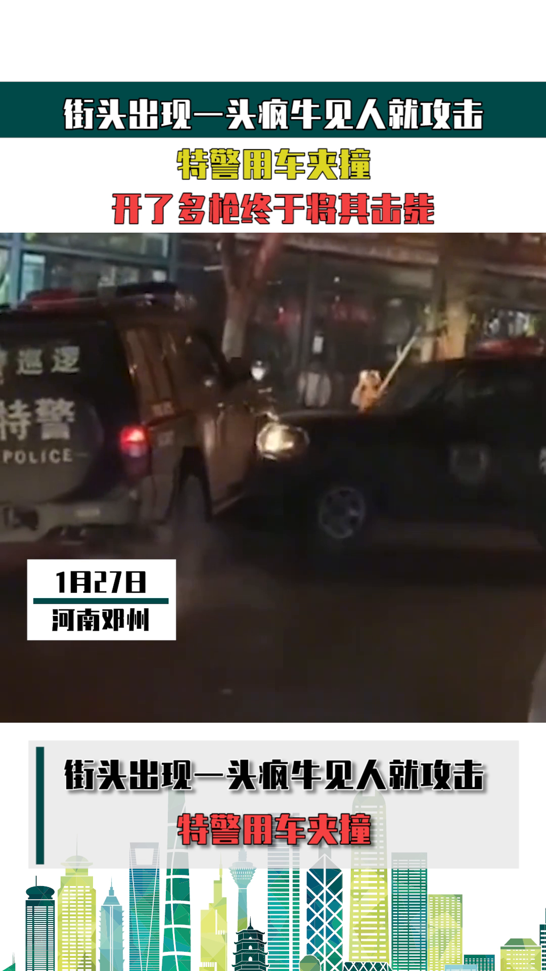 疯牛失控，撞击背后的故事