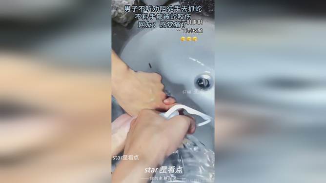 因好奇徒手抓蛇被咬，一次惊险的探险经历