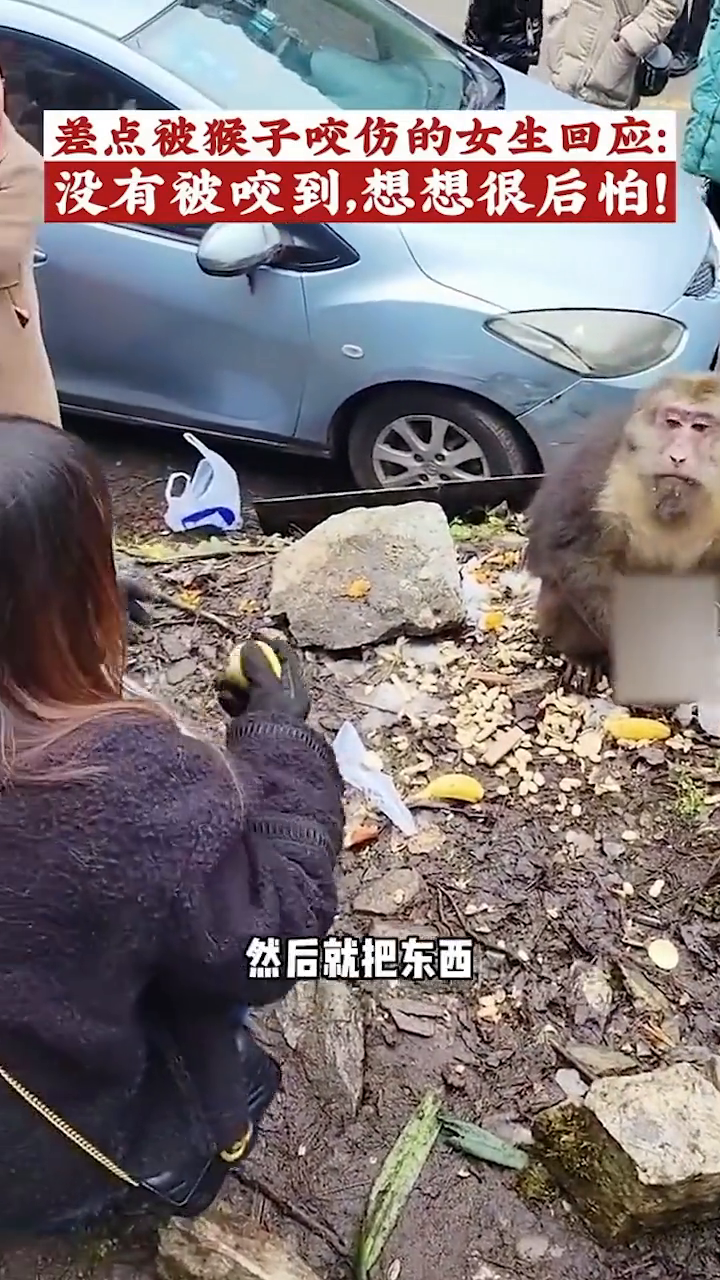 景区回应女孩遭男子水枪攻击致失明事件分析