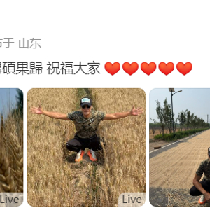任达华回山东老家收麦子，明星背后的田园生活