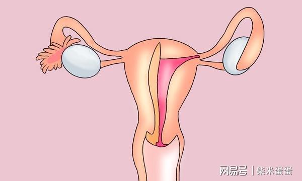 女子切除子宫有什么危害