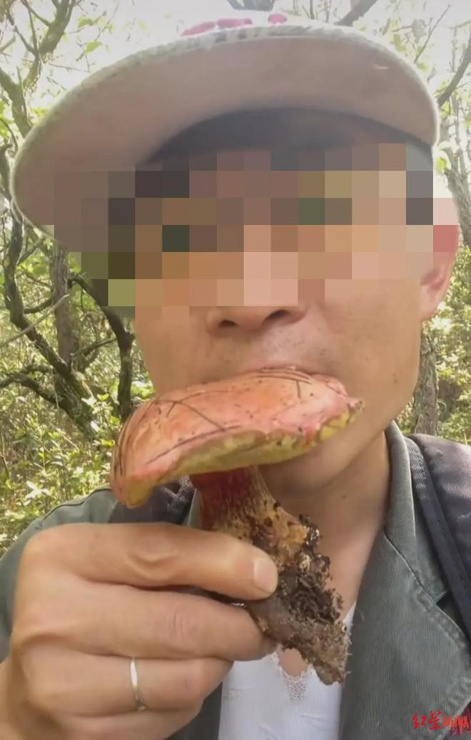 男子吃见手青中毒后竟变身凤凰侠，捋毛助人渡难关