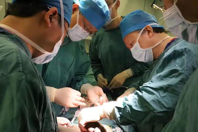 女子切除子宫后，意外爱上救命恩人，一段关于重生与希望的温情故事