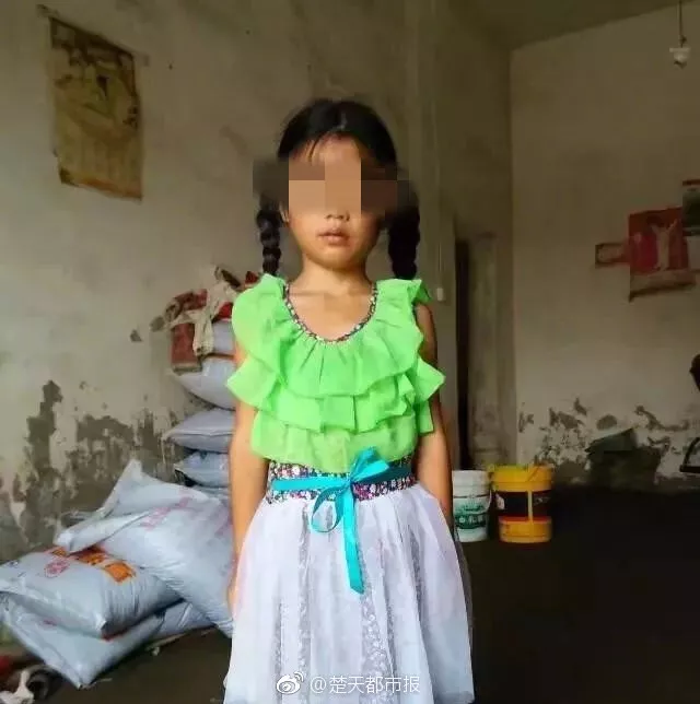 九岁小女孩案件，深度解析与反思