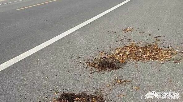 药渣倒路上的破解之道，多重策略应对环境污染问题