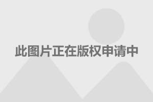 揭秘，2014年中国歼-11拦截侦察机的卓越性能与战略价值