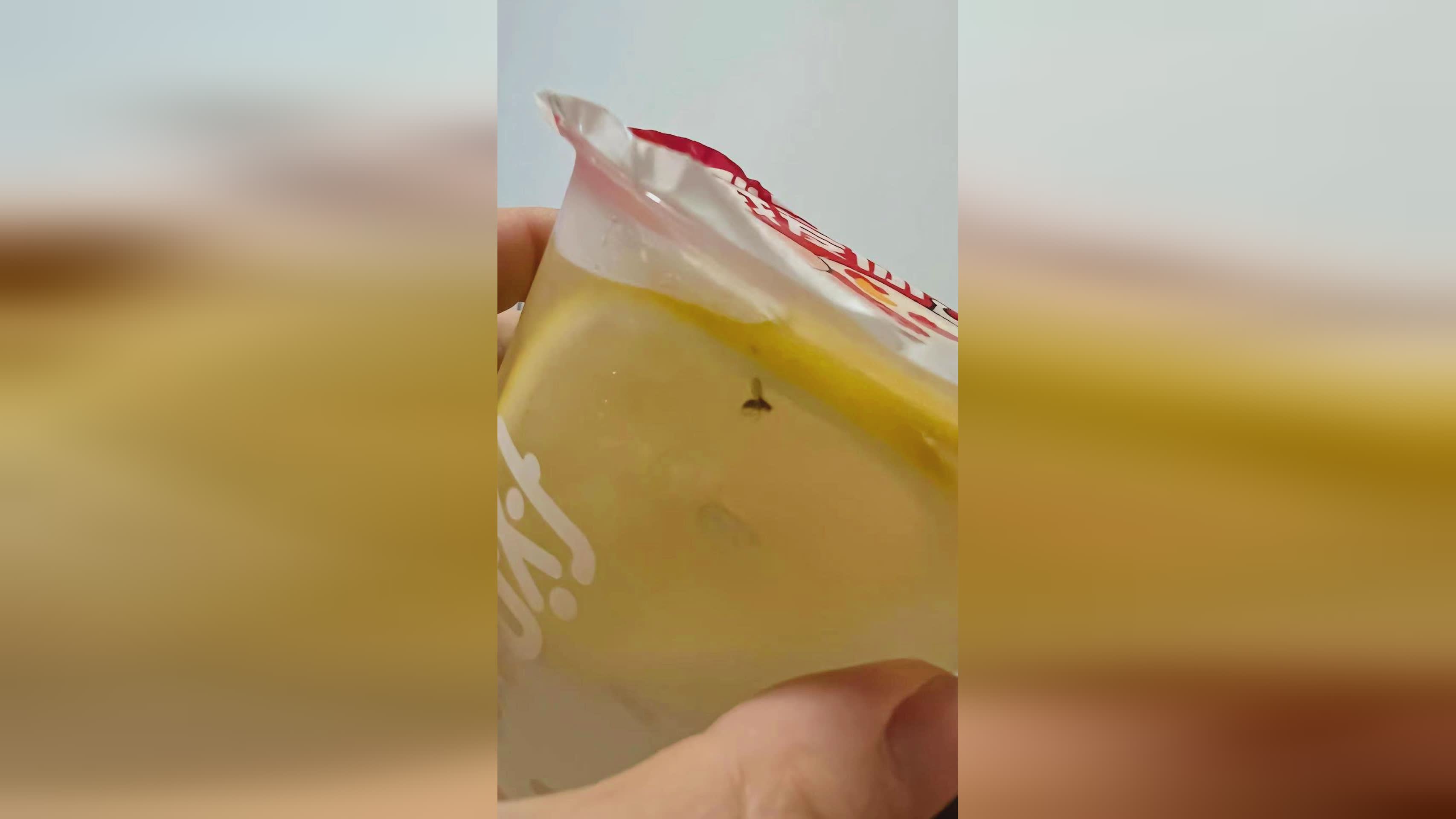 蜜雪喝出不明飞虫事件大揭秘