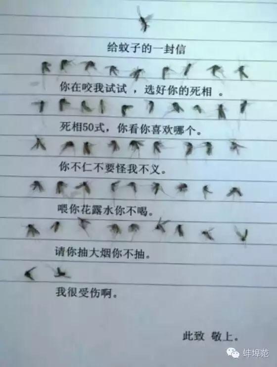 蚊子口器仿生，探索自然奥秘，引领科技创新