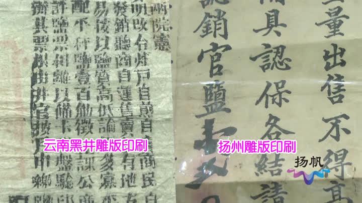 酱园阅读答案，探索文学世界的独特魅力