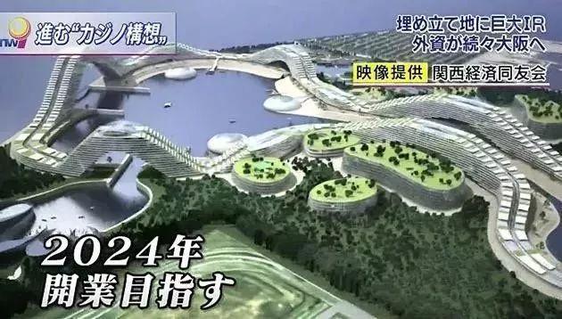 探究未来，2025年高考人数预测分析