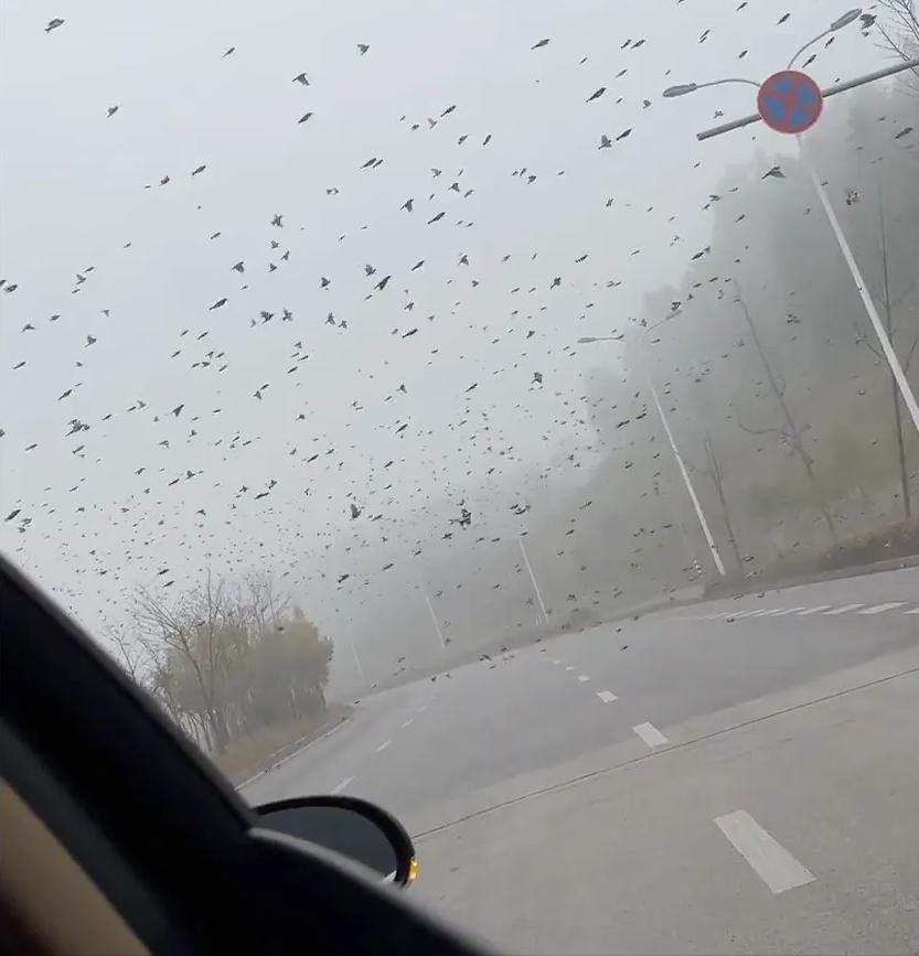 菲律宾遭遇地震袭击，菲律宾群岛的震动与人们的坚韧之心——菲律宾6.3级地震纪实